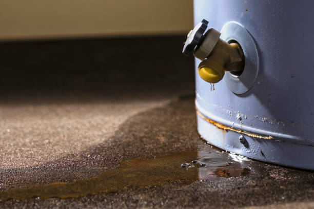 Best Water damage restoration near me  in Stanfield, NC