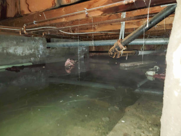 Best 24/7 water damage repair  in Stanfield, NC