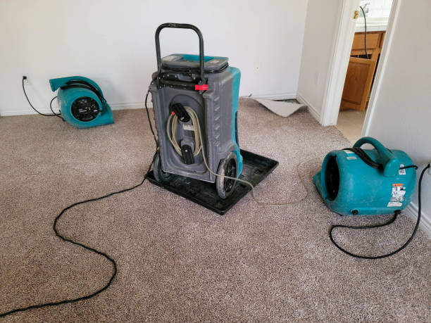Best 24/7 water damage repair  in Stanfield, NC